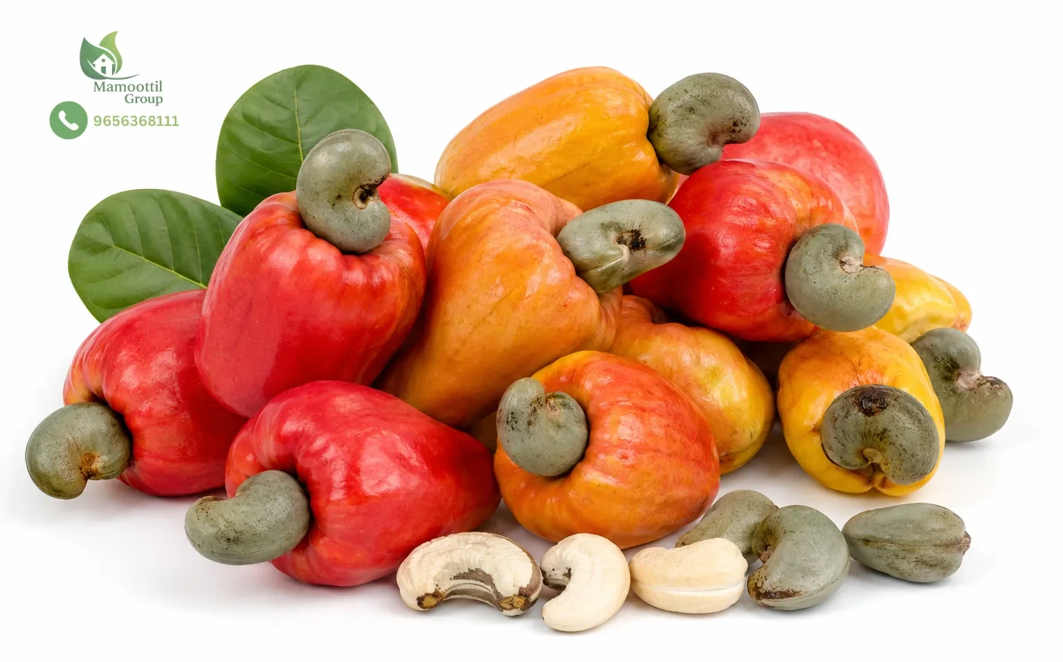 Rootstock Fusion Processing